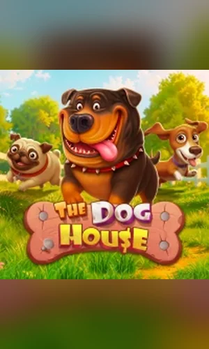 The Dog House slot by Pragmatic Play at BravoPlay
